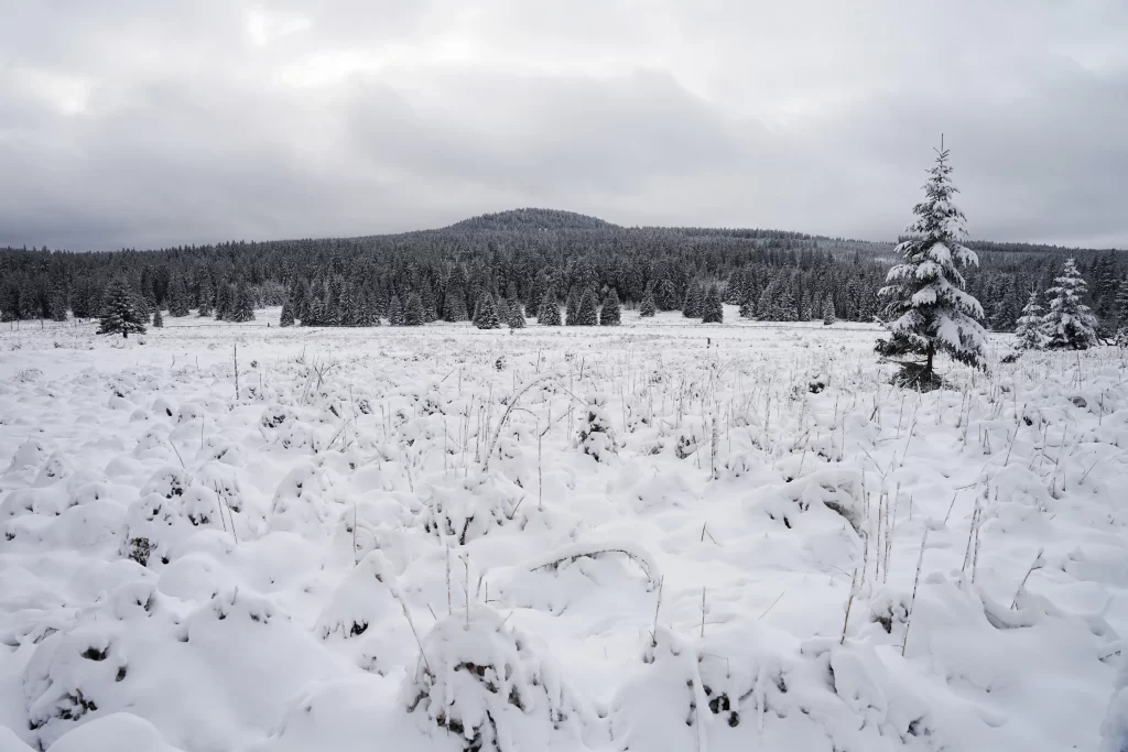 zasnežená krajina