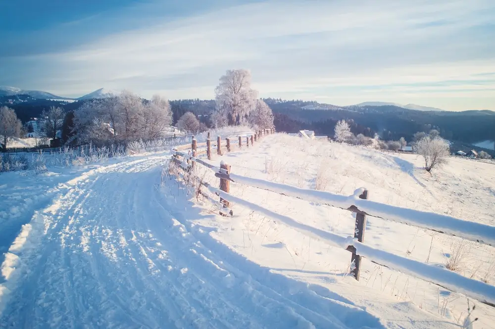 zasnežená krajina