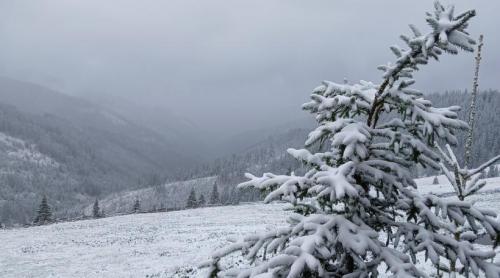 Päť dní s polárnym vzduchom v Rumunsku. Teploty klesnú na minimálne 2 stupne, v horách bude snežiť a ukladať snehovú vrstvu Päť dní s polárnym vzduchom v Rumunsku. Teploty klesnú na minimálne 2 stupne, v horách bude snežiť a ukladať snehovú vrstvu